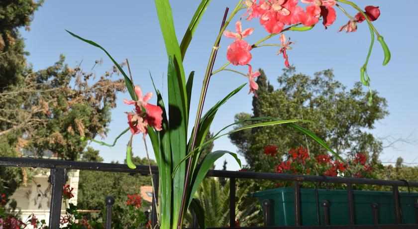 אווירה בית קטן במושבה